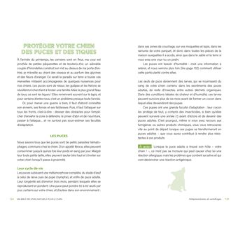 La bible des traitements naturels du chien