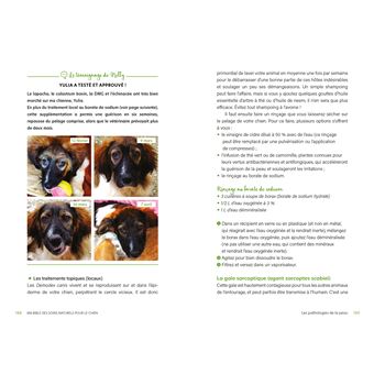 La bible des traitements naturels du chien