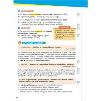 Mon Année Brevet Les fiches Français 3e