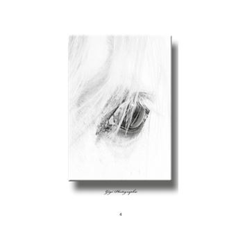 Derrière le masque