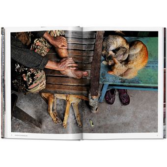 Steve McCurry. Animals