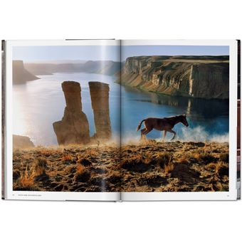 Steve McCurry. Animals