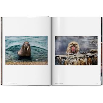 Steve McCurry. Animals