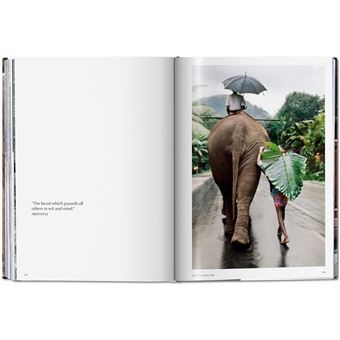 Steve McCurry. Animals