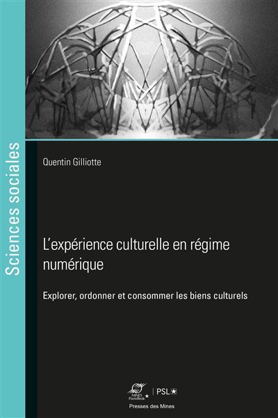 L'expérience culturelle en régime numérique