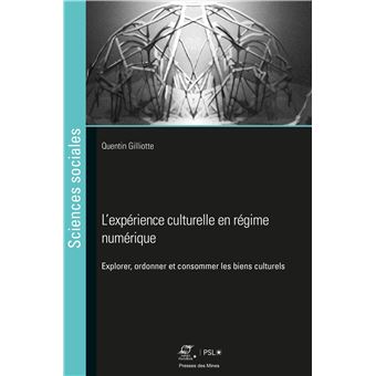 L'expérience culturelle en régime numérique
