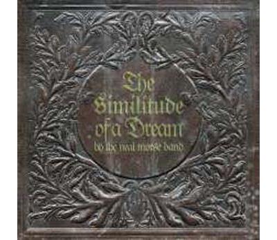 SIMILITUDE OF A DREAM