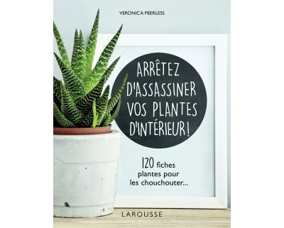 Arrêtez d'assassiner vos plantes d'intérieur