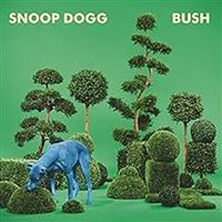Bush