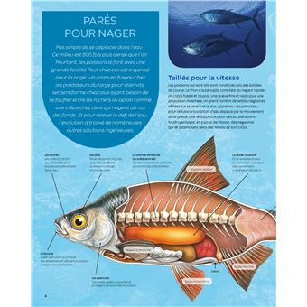 Les poissons