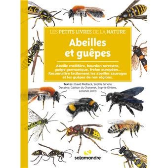 Abeilles et guêpes