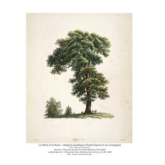 André Dupont (1742-1817) - Un palais et des Roses