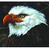 The hawk is howling - Mogwai - Vinyle album - Achat & prix