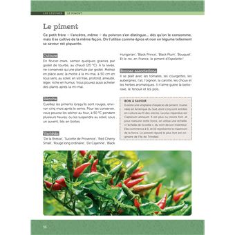 Débuter un potager et un verger
