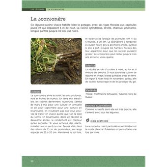 Débuter un potager et un verger