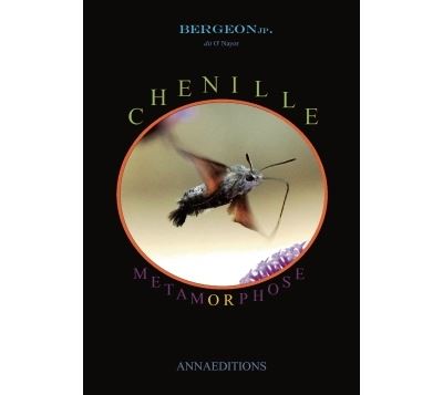 Chenille