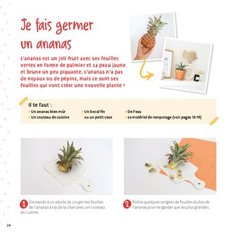 Je fais pousser mes noyaux et pépins, c'est magique !