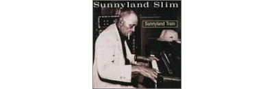Sunnyland train