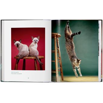 Walter Chandoha. Cats. Photographs 1942–2018
