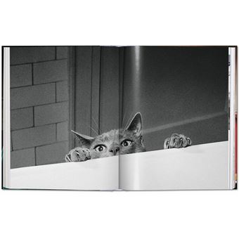 Walter Chandoha. Cats. Photographs 1942–2018