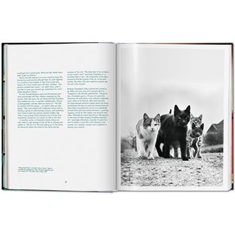 Walter Chandoha. Cats. Photographs 1942–2018