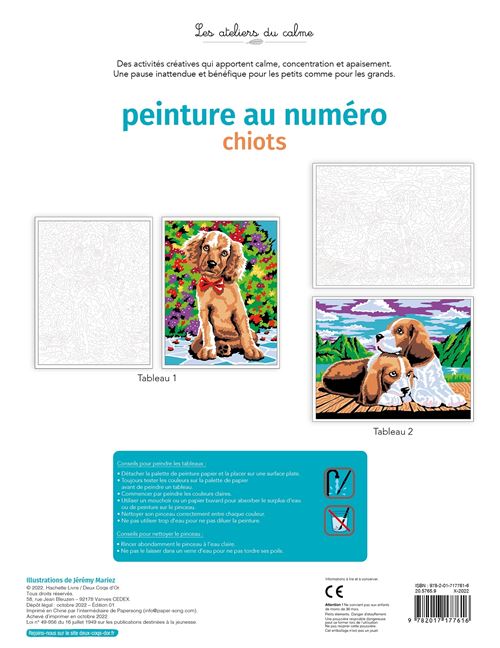 Peinture au numéro - licornes et chevaux - cahier avec palette et pinceau  (Contenant (sac, pochette, coffret) 2022), de Jérémy Mariez