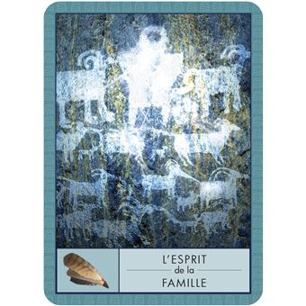 L'Oracle des chamans - 52 cartes oracle pour accéder au bien-être et à la sagesse