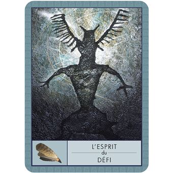 L'Oracle des chamans - 52 cartes oracle pour accéder au bien-être et à la sagesse