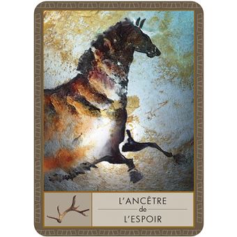 L'Oracle des chamans - 52 cartes oracle pour accéder au bien-être et à la sagesse