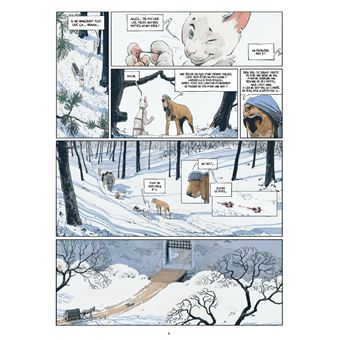 Les Marguerites de l'hiver