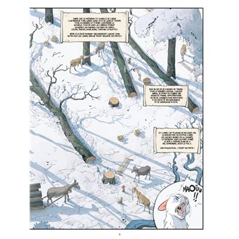 Les Marguerites de l'hiver