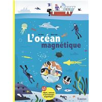 L'océan magnétique