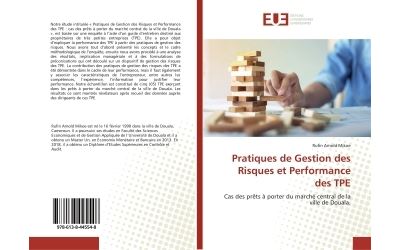 Pratiques de Gestion des Risques et Performance des TPE
