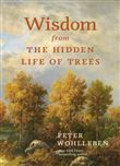 Wisdom from the hidden life of tree