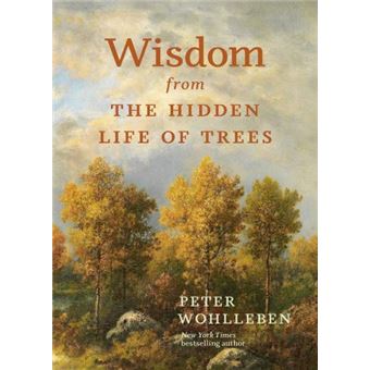 Wisdom from the hidden life of tree