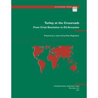 Turkey at the Crossroads: From Crisis Resolution to EU Accession
