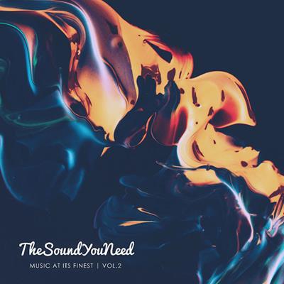 TheSoundYouNeed Vol.2 (2LP+MP3/180g)