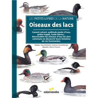 Oiseaux des lacs