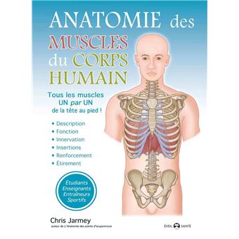 Anatomie des muscles du corps humain