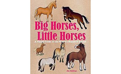 Big Horses, Little Horses