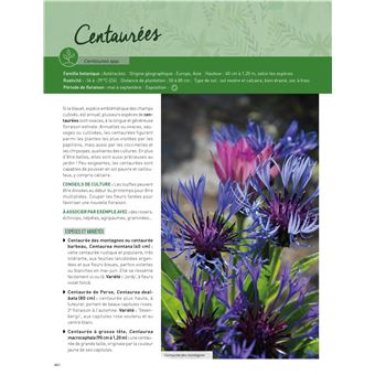 Guide pratique des vivaces