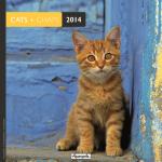 Calendrier 2014 Aquarupella Chats couleurs 16 x 16 cm