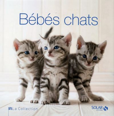 Bebes Chats La Collection Cartonne Rita Mabel Schiavo Achat Livre Fnac