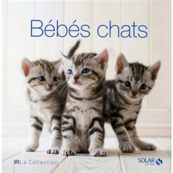 Bebes Chats La Collection Cartonne Rita Mabel Schiavo Achat Livre Fnac
