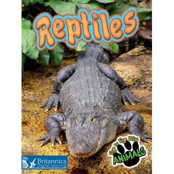 Reptiles - 1