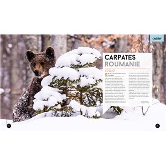 Ou partir quand en Europe ? 1ed