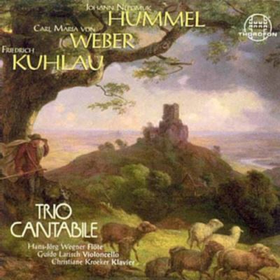 Trios pour flûte violoncelle et piano