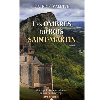 Les ombres du bois Saint-Martin