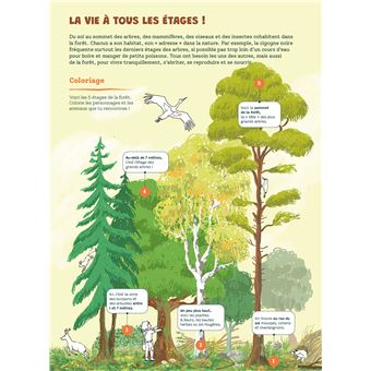 Mon cahier forêt