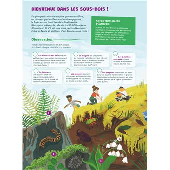 Mon cahier forêt